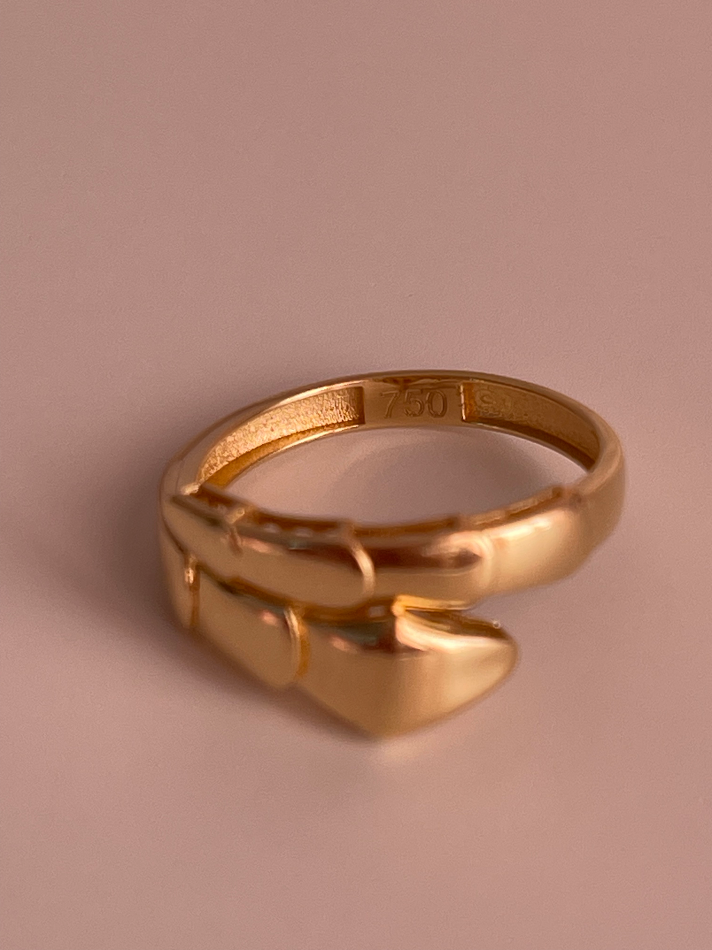 Snake Ring